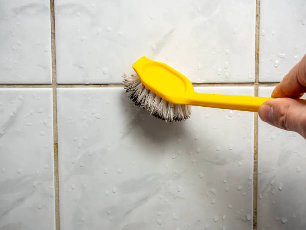 Best Mold Cleaning Services  in Glen Raven, NC