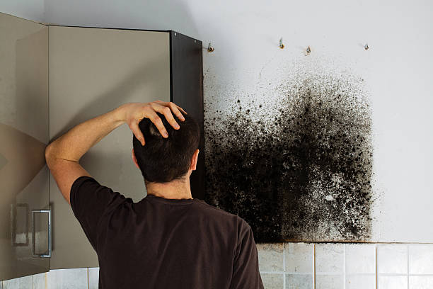 Best Mold Testing  in Glen Raven, NC